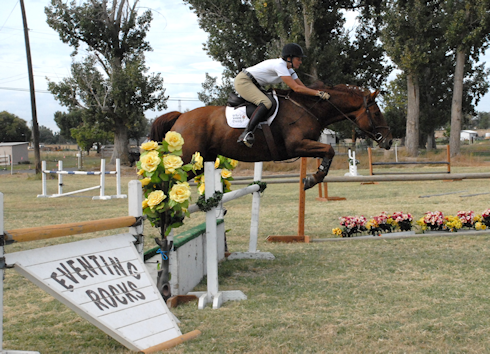 Dressage Arena